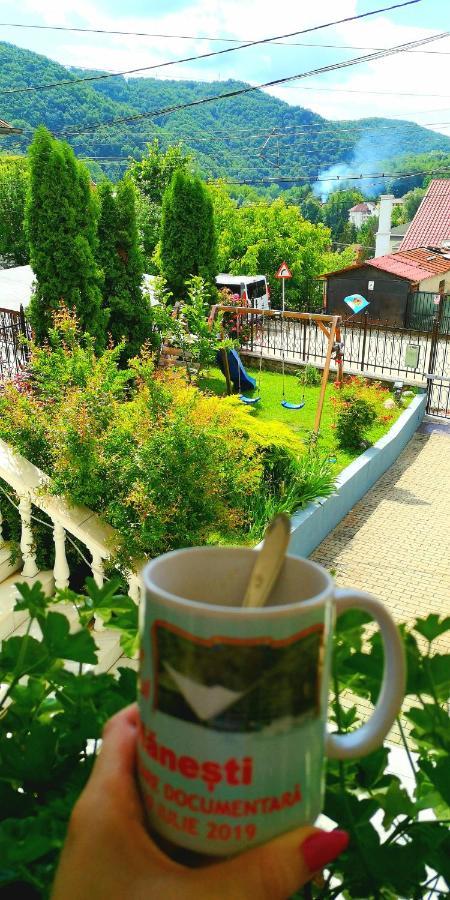 Hotel Casa Giulia Băile Olăneşti Esterno foto